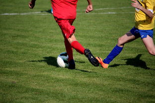 华体会网页登录入口-世界台球联赛中国队勇夺团体亚军，世界台球联赛中国队勇夺团体亚军是谁